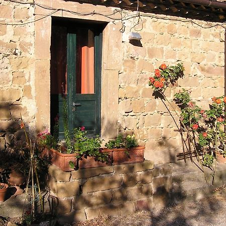 Casa Migliaca Villa Pettineo Bilik gambar