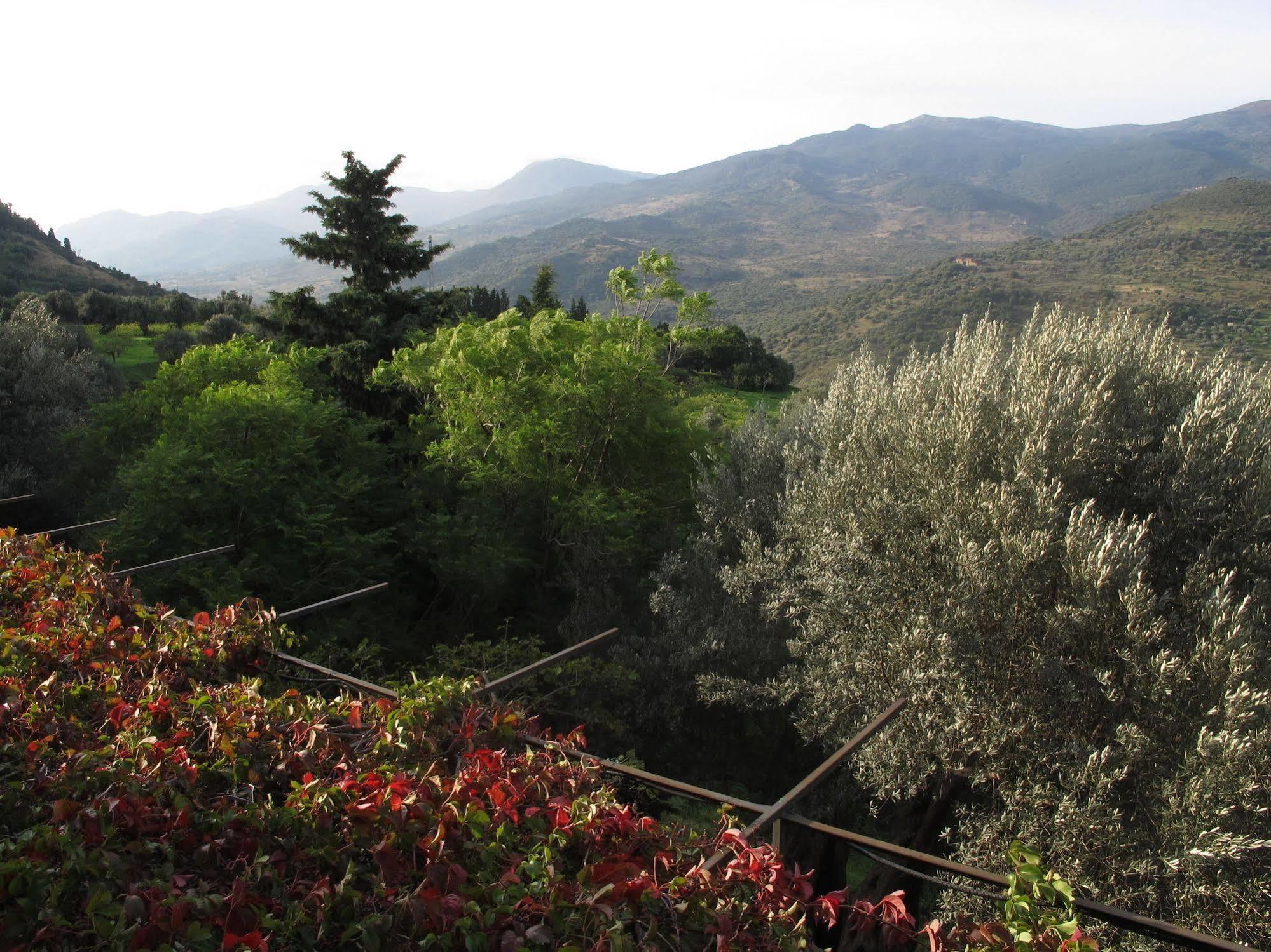 Casa Migliaca Villa Pettineo Luaran gambar